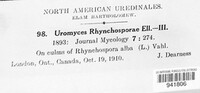 Uromyces rhynchosporae image
